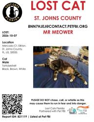 Lost Male Cat last seen Near &coquina crossing, St. Johns County, FL 32033