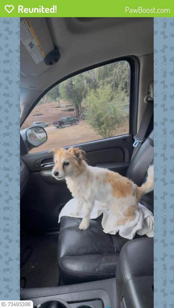 Reunited Male Dog last seen Near Wood Rd, Riverside, CA 92508, USA, Riverside, CA 92508