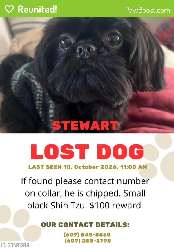 Reunited Male Dog last seen Church road and mount laurel road, Mount Laurel Township, NJ 08054