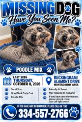 Lost Male Dog last seen Buckingham drive, Montgomery, AL 36116