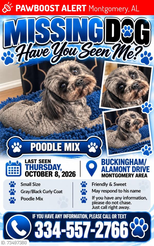 Lost Male Dog last seen Buckingham drive, Montgomery, AL 36116