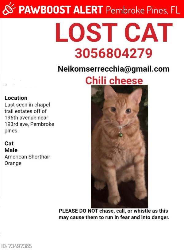 Lost Male Cat last seen 193rd avenue, Pembroke Pines, FL 33029
