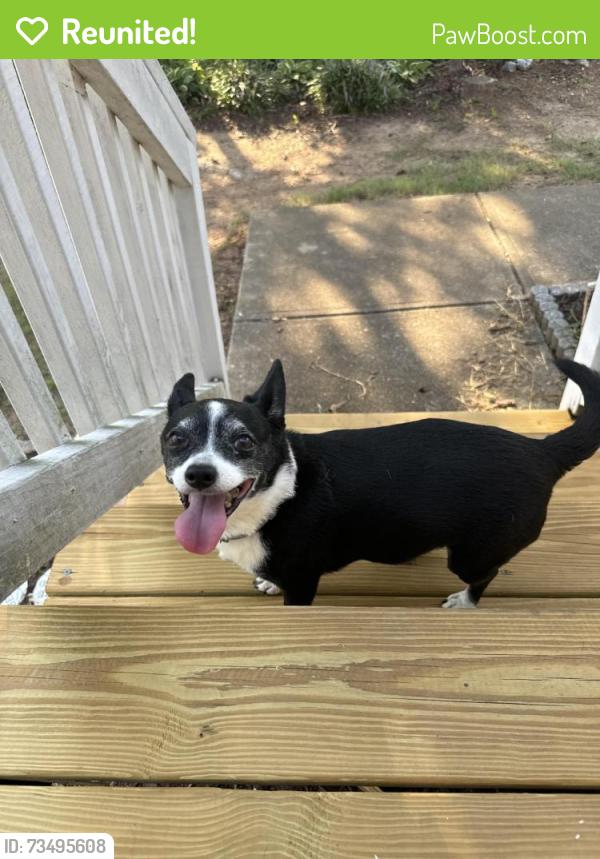 Reunited Female Dog last seen Statham elementary school, Statham, GA 30666