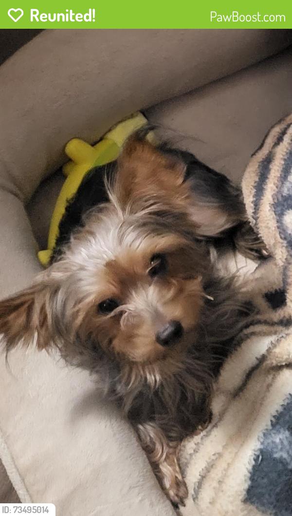 Reunited Male Dog last seen Cedar ridge, Tulsa, OK 74133