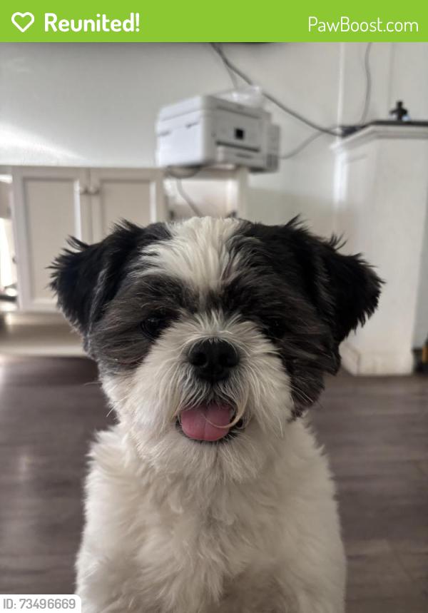 Reunited Male Dog last seen Claude Ct and Brighton, Denver, CO 80216