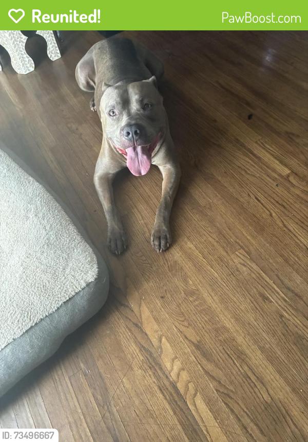Reunited Male Dog last seen N may ave near Nichols hills, The Village, OK 73120