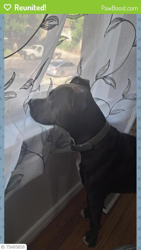 Reunited Male Dog last seen Chamber and Hampden, Aurora, CO 80013
