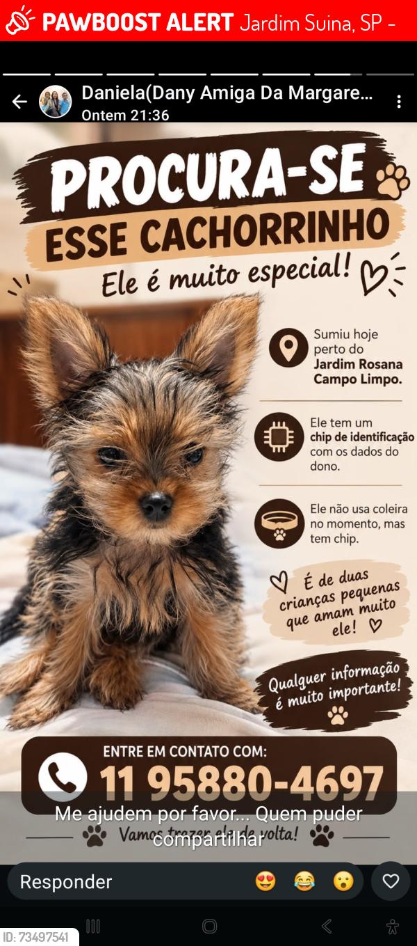 Lost Male Dog last seen Preto e caramelo, Jardim Suina, SP 06773-080