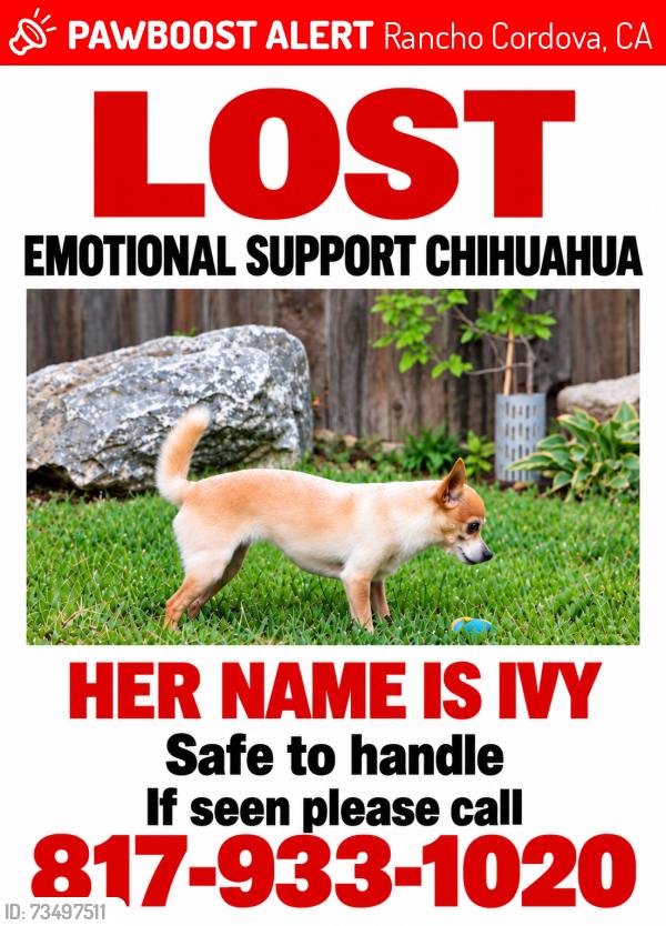 Lost Female Dog last seen Zinfendal Street/Frog's Leap, Rancho Cordova, CA 95670