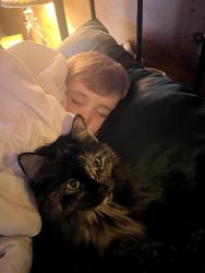Lost Female Cat last seen Ripple Beach, Ashburnham, MA 01430
