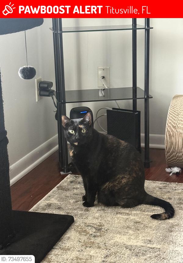 Lost Female Cat last seen Fox lake rd, Titusville, FL 32780