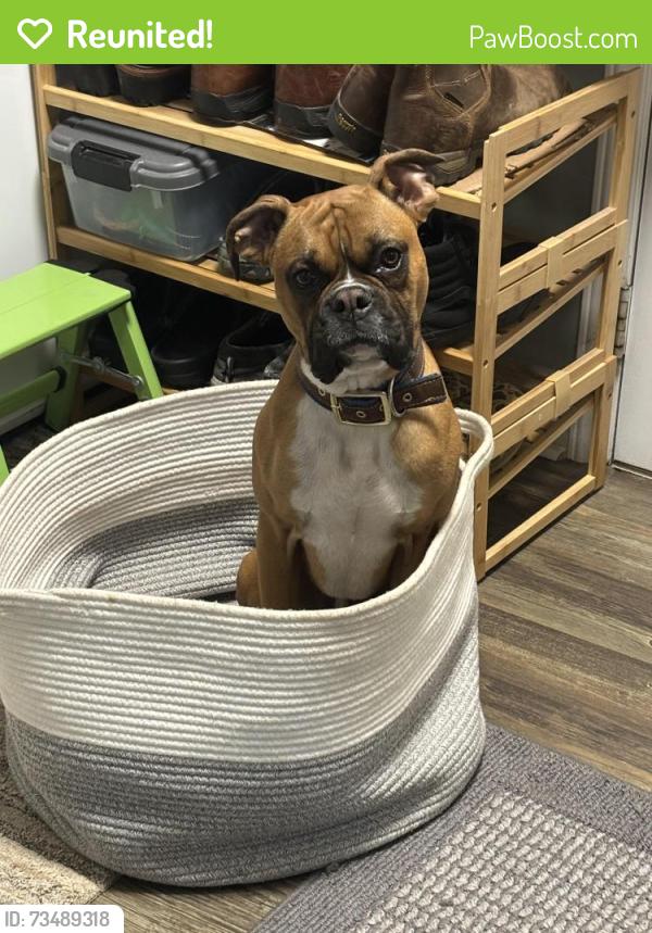 Reunited Male Dog last seen Hwy 49S and Beal Road, Snow Camp, NC 27349