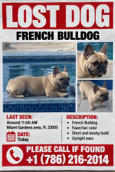 Reunited Female Dog last seen Miami Gardens 47ct, Miami Gardens, FL 33056
