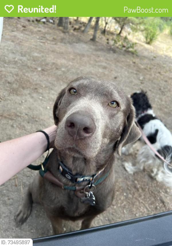 Reunited Female Dog last seen Swan Falls, Kuna, ID 83634