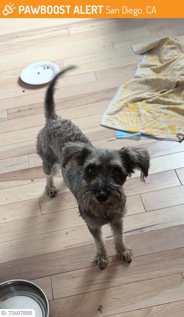 Found/Stray Female Dog last seen Imperial Ave, San Diego, CA 92114