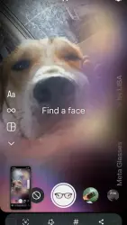 Lost Male Dog last seen Near Morningdale St, Humble, TX 77396