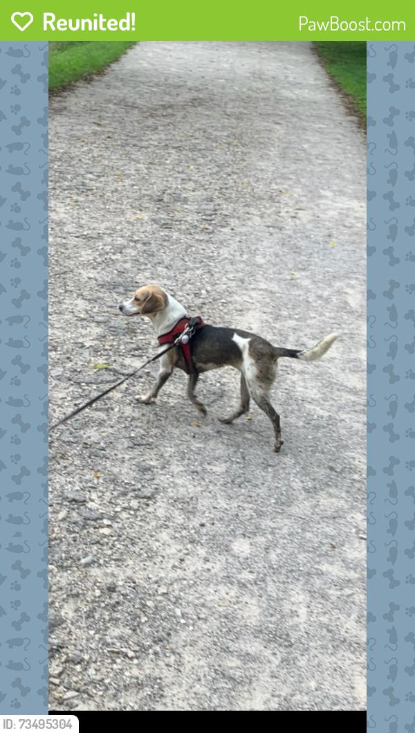 Reunited Female Dog last seen Near Graceland shopping center, Columbus, OH 43214