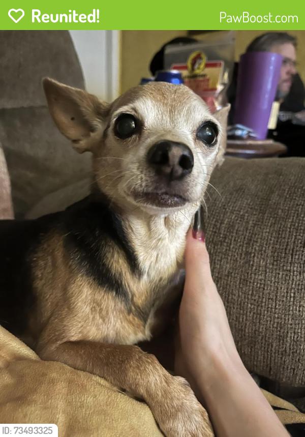 Reunited Female Dog last seen Greeley, Greeley, CO 80634