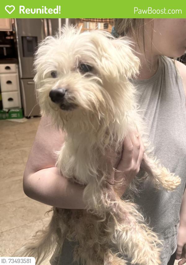 Reunited Male Dog last seen Near W Longview Dr, Woodbridge, VA 22191, USA, Woodbridge, VA 22191