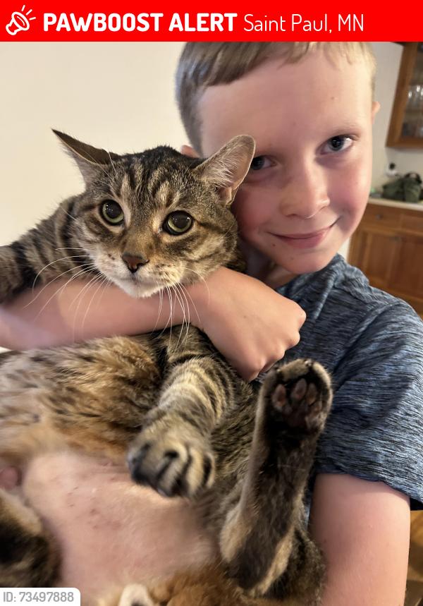 Lost Male Cat last seen Summit and Howell, Saint Paul, MN 55105