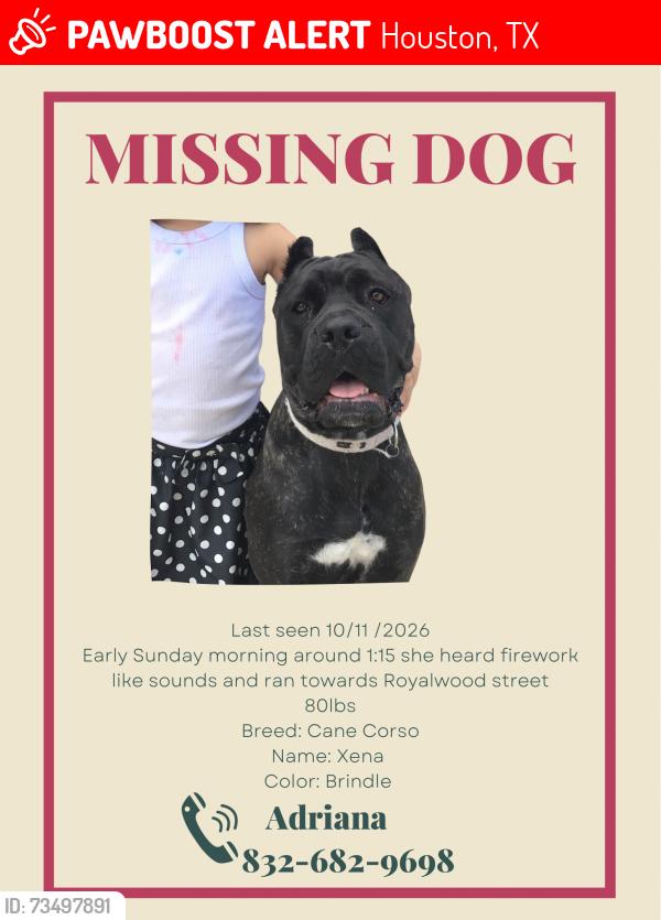 Lost Female Dog last seen Treshill court, Houston, TX 77049