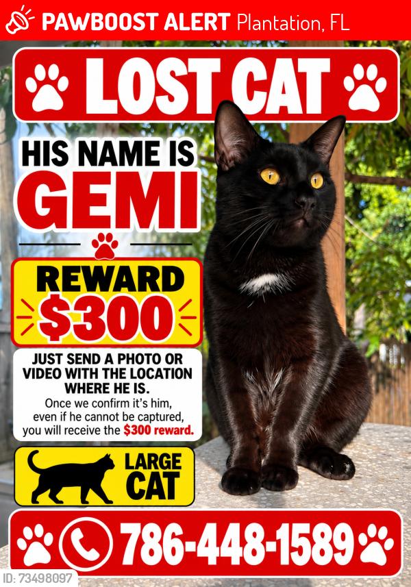 Lost Male Cat last seen Plantation Gardens cndmnium, Plantation, FL 33317