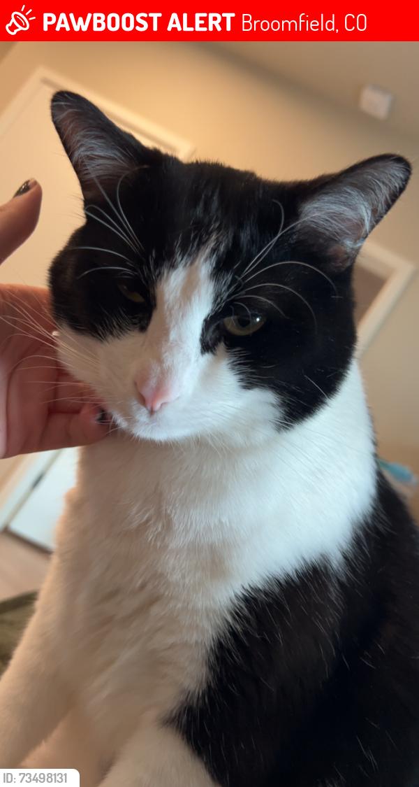 Lost Male Cat last seen Enclave at Broomfield, Broomfield, CO 80020