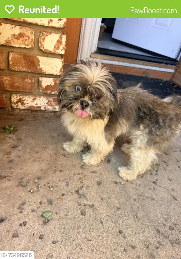 Reunited Female Dog last seen Palm Beach Way, San Jose, CA 95122, USA, San Jose, CA 95122