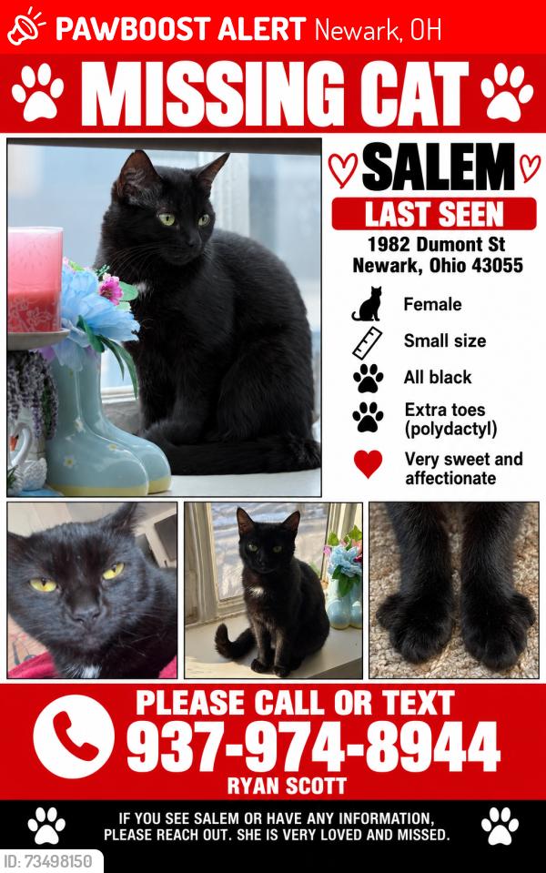 Lost Female Cat last seen Mount Vernon Rd, Newark, OH 43055