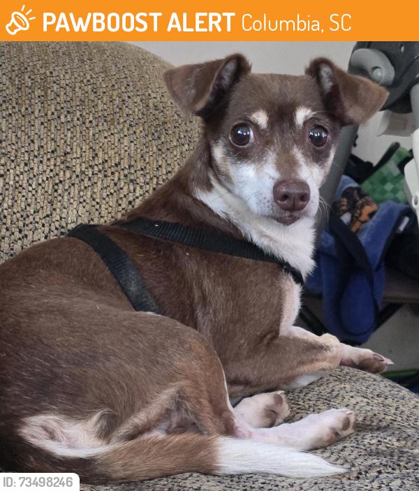 Found/Stray Male Dog last seen Sharpe road, Columbia, SC 29203