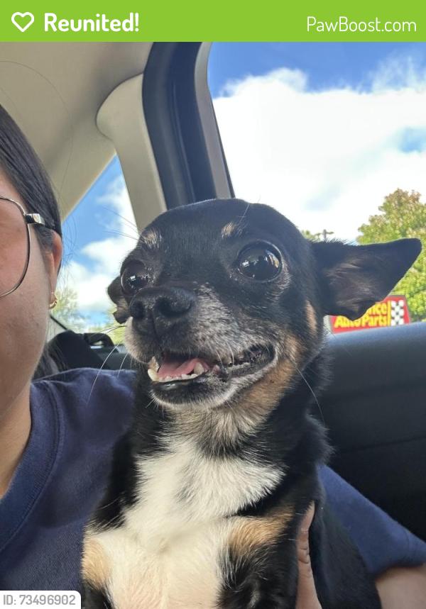 Reunited Male Dog last seen Near 23 ave Paterson nj 07513, Paterson, NJ 07513