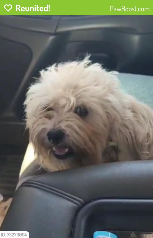 Reunited Female Dog last seen Bayou Rd, Port Barre, LA 70577