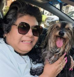 Reunited Male Dog last seen Springfield and Wrightwood, Chicago, IL 60647