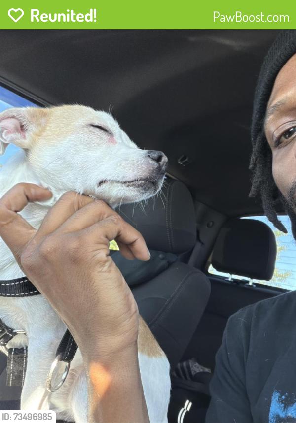 Reunited Male Dog last seen Harris teeter, Fayetteville, NC 28306