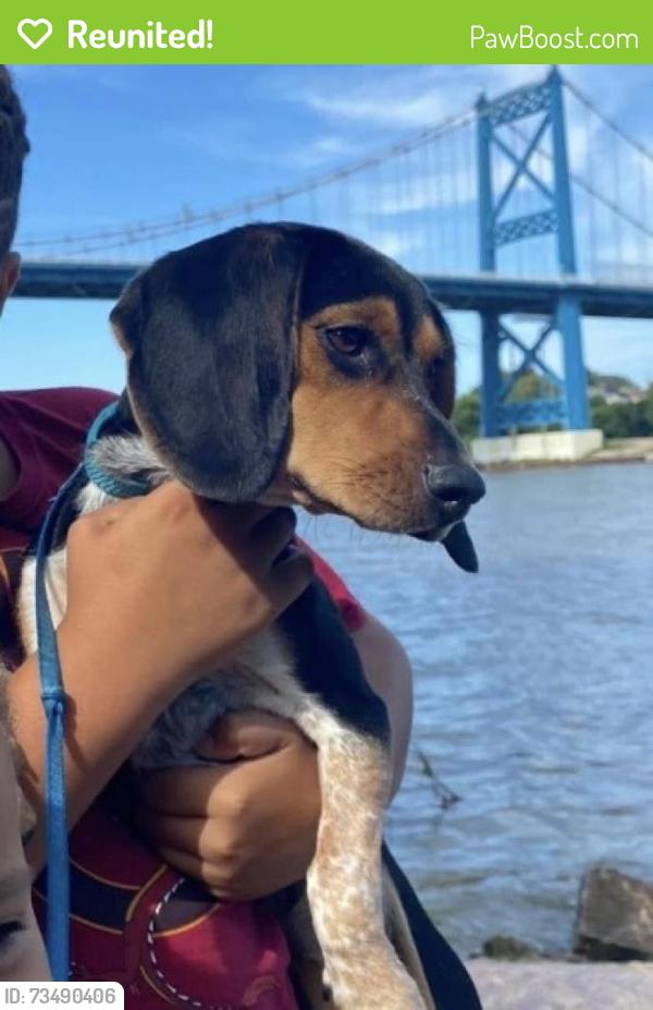 Reunited Female Dog last seen Laskey and Jackman, Toledo, OH 43613
