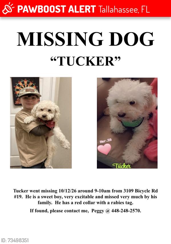 Lost Male Dog last seen Blountstown Rd, Tallahassee, FL 32304