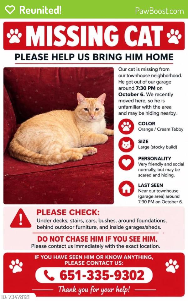 Reunited Male Cat last seen Farnham Dr, Hugo, Hugo, MN 55038