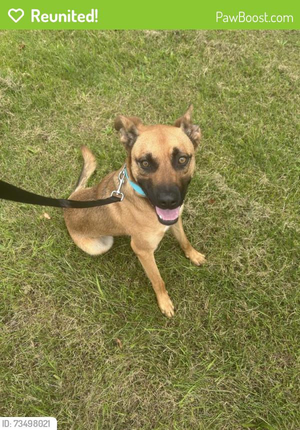 Reunited Male Dog last seen M89, Fennville, MI 49408