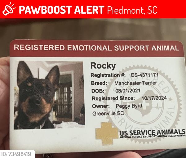 Lost Male Dog last seen Big Creek Lane and Piedmont Hwy, Piedmont, SC 29673