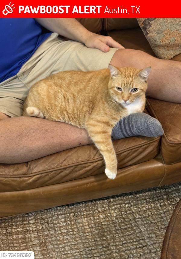 Lost Male Cat last seen Alhambra Drive and Galacia Drive in the Balcones Woods Subdivision, Austin, TX 78759