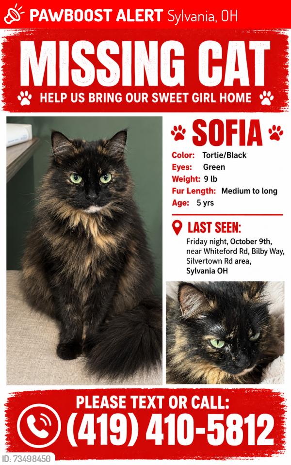 Lost Female Cat last seen Arbor street, Sylvania, OH 43560