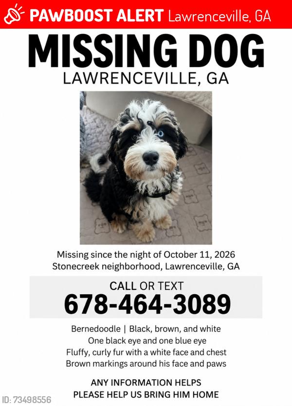 Lost Male Dog last seen Near Deerbrook Run Drive, Lawrenceville, GA 30043