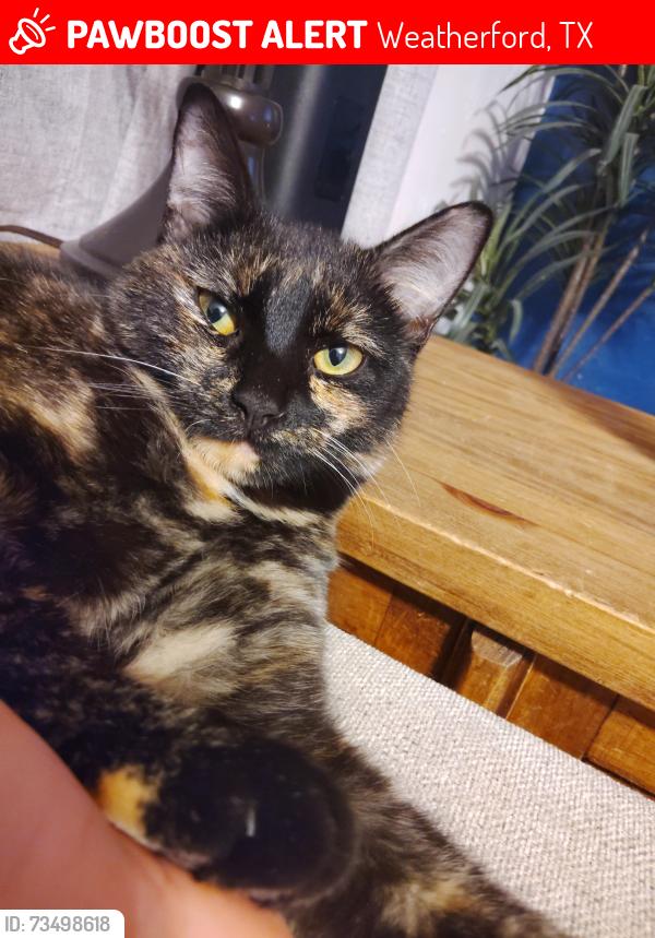 Lost Female Cat last seen North 51 Weatherford/ Carter road, Weatherford, TX 76085