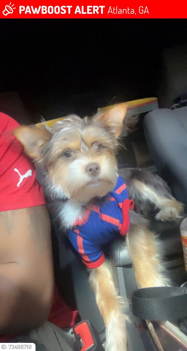 Lost Male Dog last seen Near Rawson Street SE, Atlanta, GA 30312