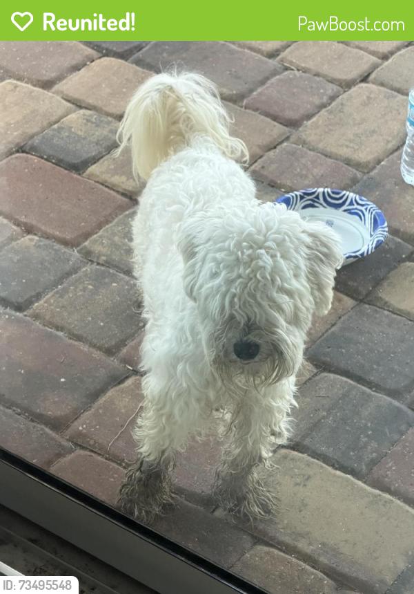 Reunited Unknown Dog last seen Longleaf branch drive, Jacksonville, FL 32222