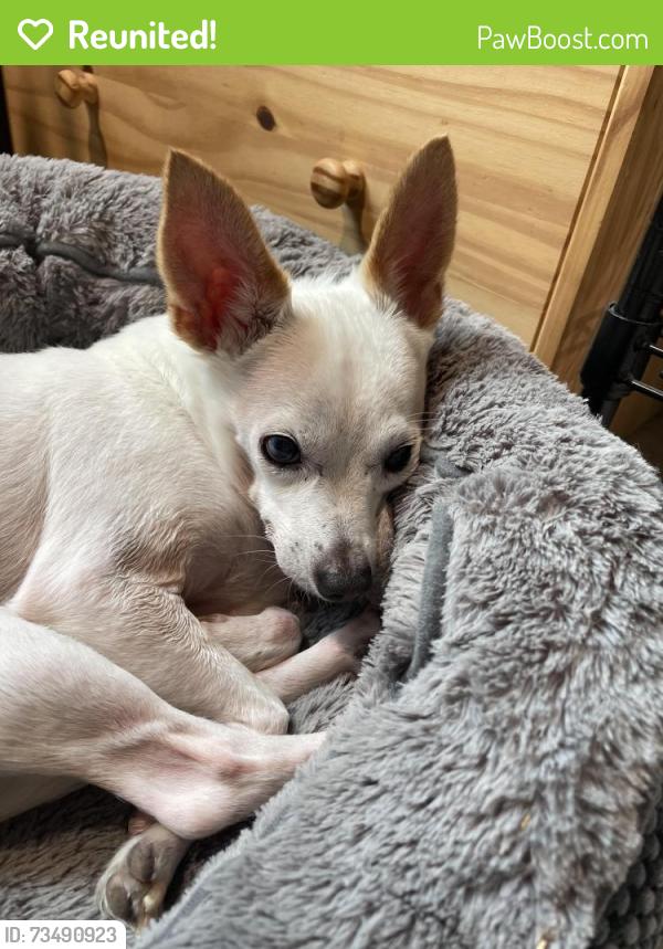 Reunited Male Dog last seen east river rd, Fridley, MN 55432