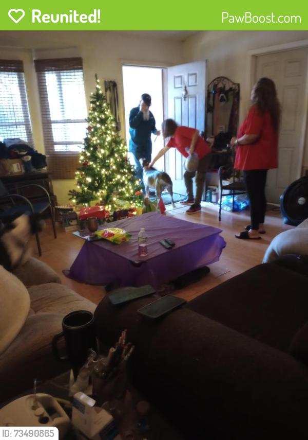 Reunited Female Dog last seen Cam's discount appliance, St. Petersburg, FL 33709