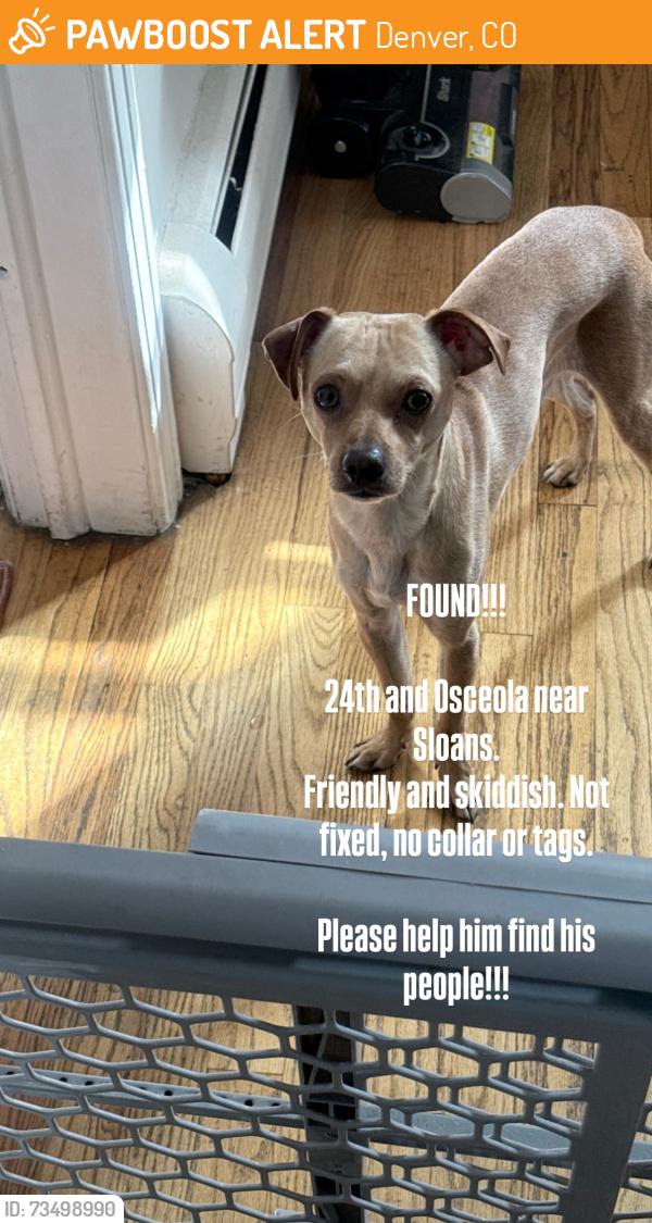 Found/Stray Male Dog last seen 24th and Oceola, Denver, CO 80211