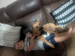 Lost Male Dog last seen Elementary school, Round Rock, TX 78664