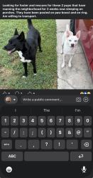 Found/Stray Male Dog last seen Tradewinds Dr, Houston, TX 77086